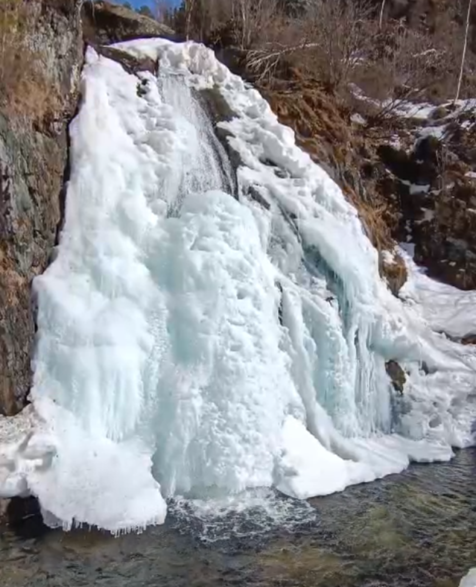    Алтайский заповедник. Источник: скриншоты из видео Романа Воробьёва, Татьяны Клименко, Евгения Веселовского и Александра Лотова