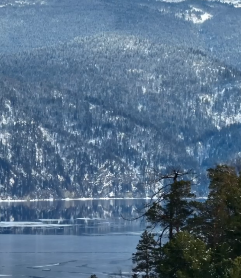    Алтайский заповедник. Источник: скриншоты из видео Романа Воробьёва, Татьяны Клименко, Евгения Веселовского и Александра Лотова