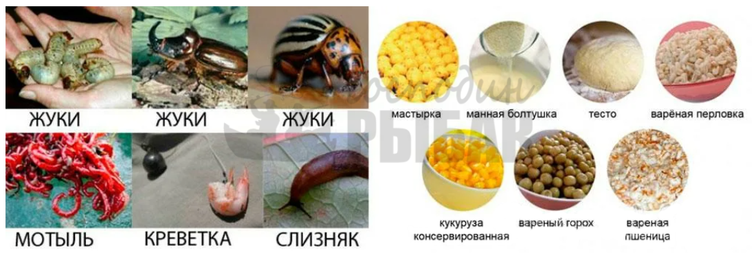 Прикормка для рыбалки ALLVEGA "Formula КАРП КАРАСЬ" 5 пакетов по 900 гр. / прико