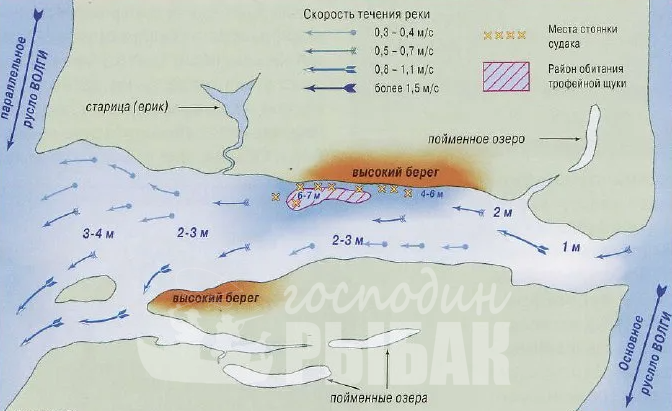 Где искать и ловить карася на примере р. Волги