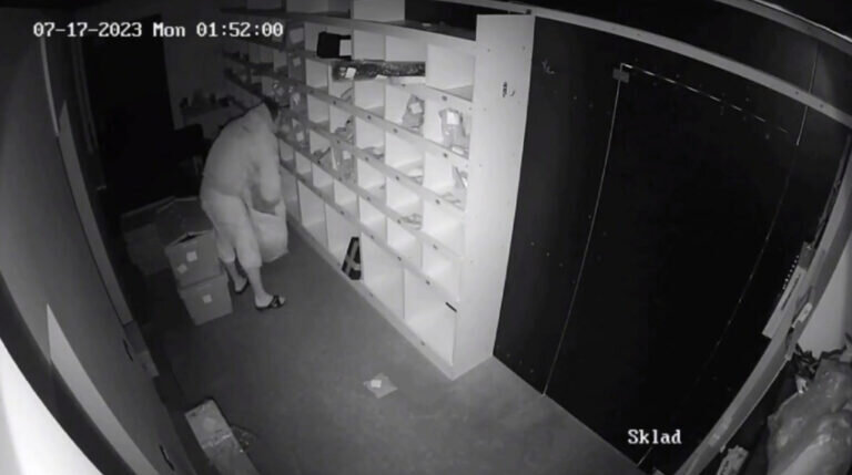    В Оренбурге грабитель пункта выдачи заказов «KazanExpress» осужден на два года Андрей Севостьянов