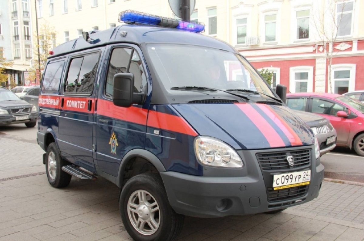    В Сибири спустя 16 лет будут судить женщину, случайно убившую своего сына