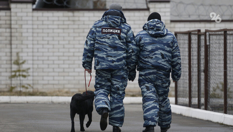      Фото: ИА «Победа26»