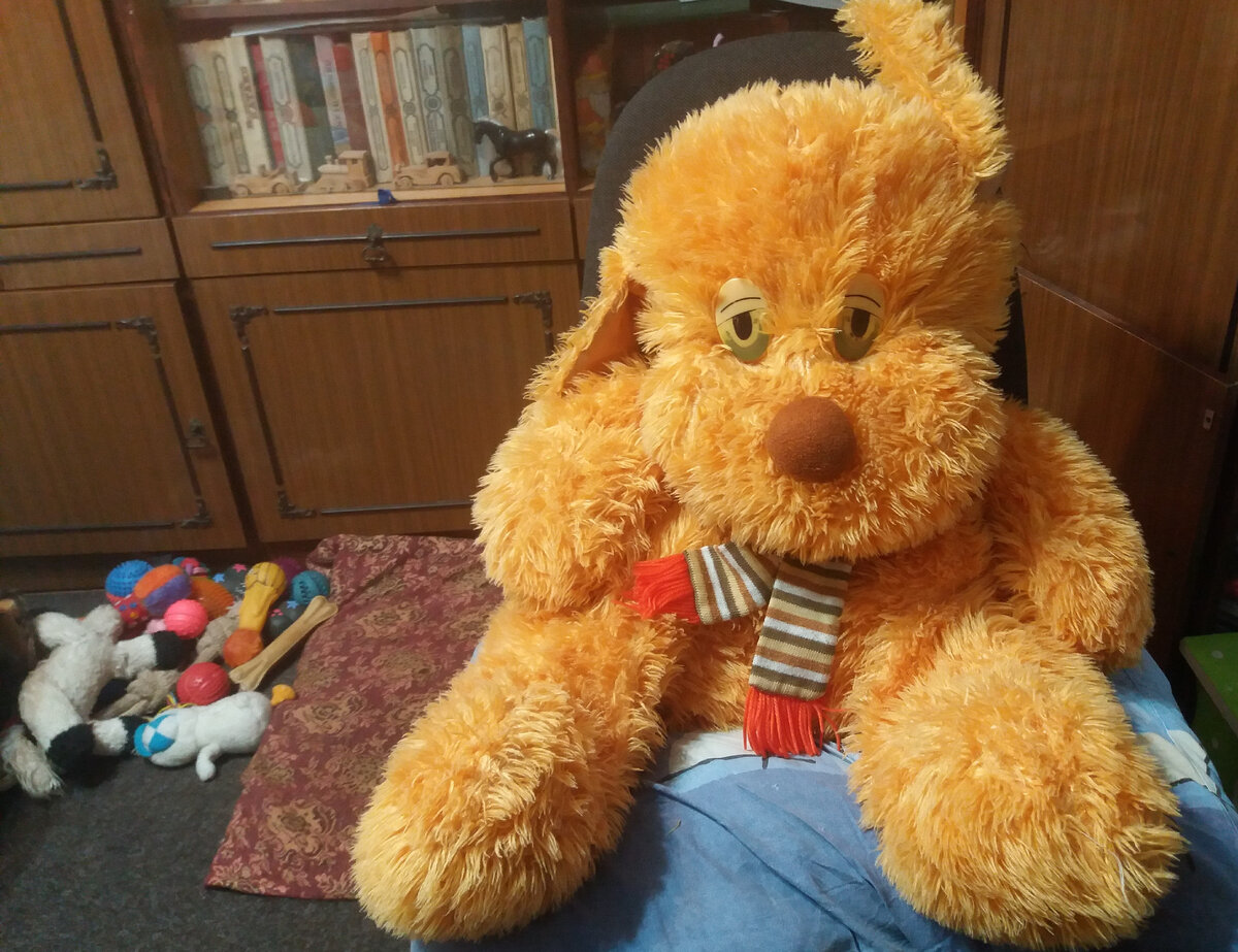 Фото автора