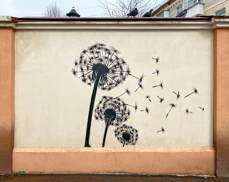 Граффити на стене жилого дома в Москве. Фотография: Мария Кылосова / фотобанк «Лори»