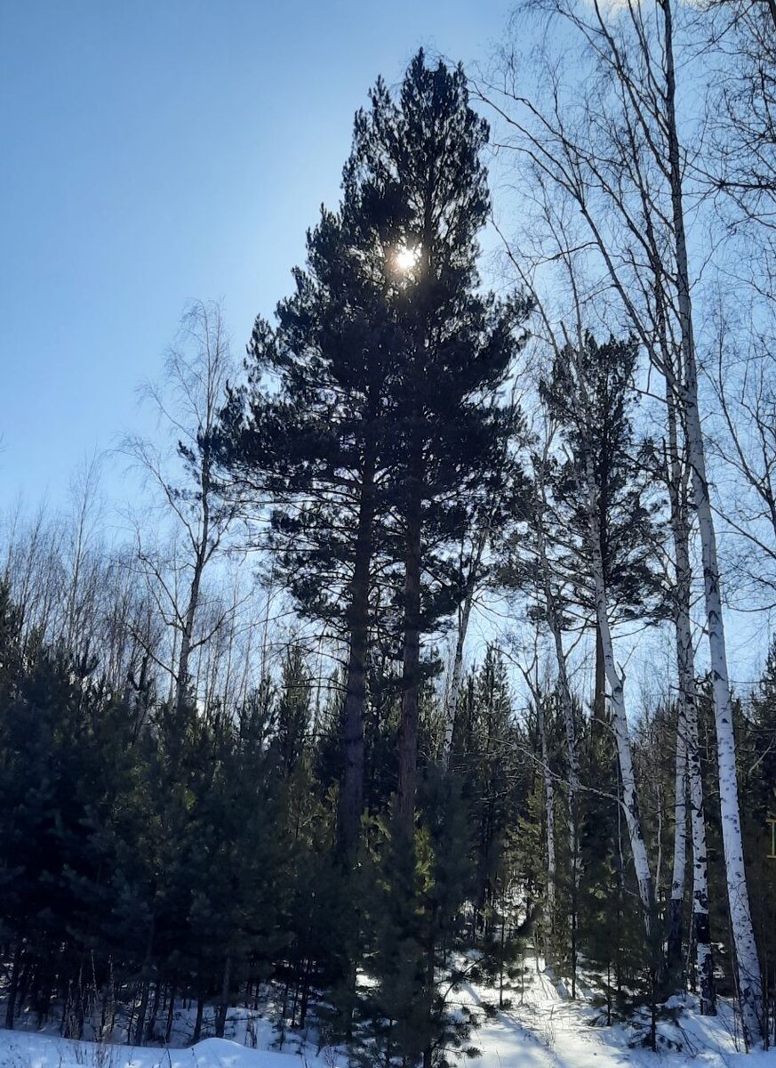 Фото автора.