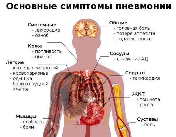 Как и чем лечить бактериальные и вирусные инфекции