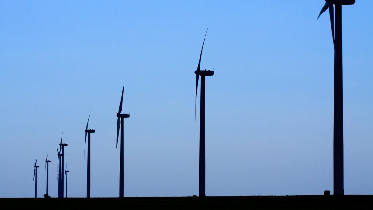 Ветряные мельницы