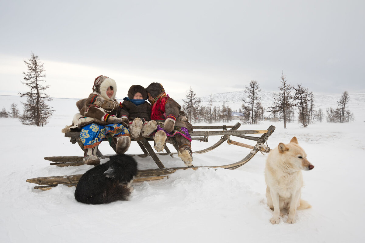 Фото: longtaildog/Shutterstock/Fotodom