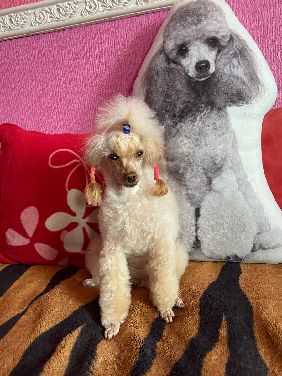 Фото из личного архива автора. Витаминка к весне готова!