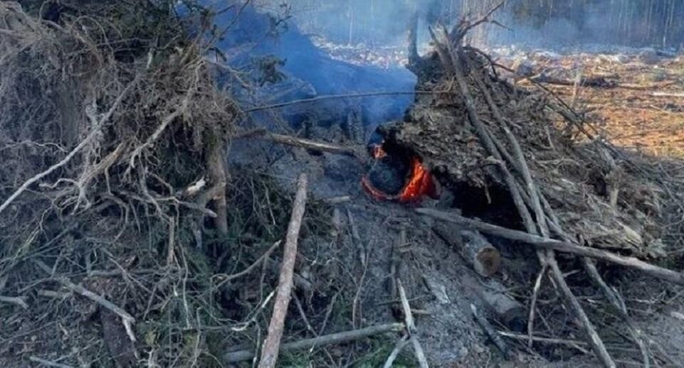    Фото Минэкологии МО.