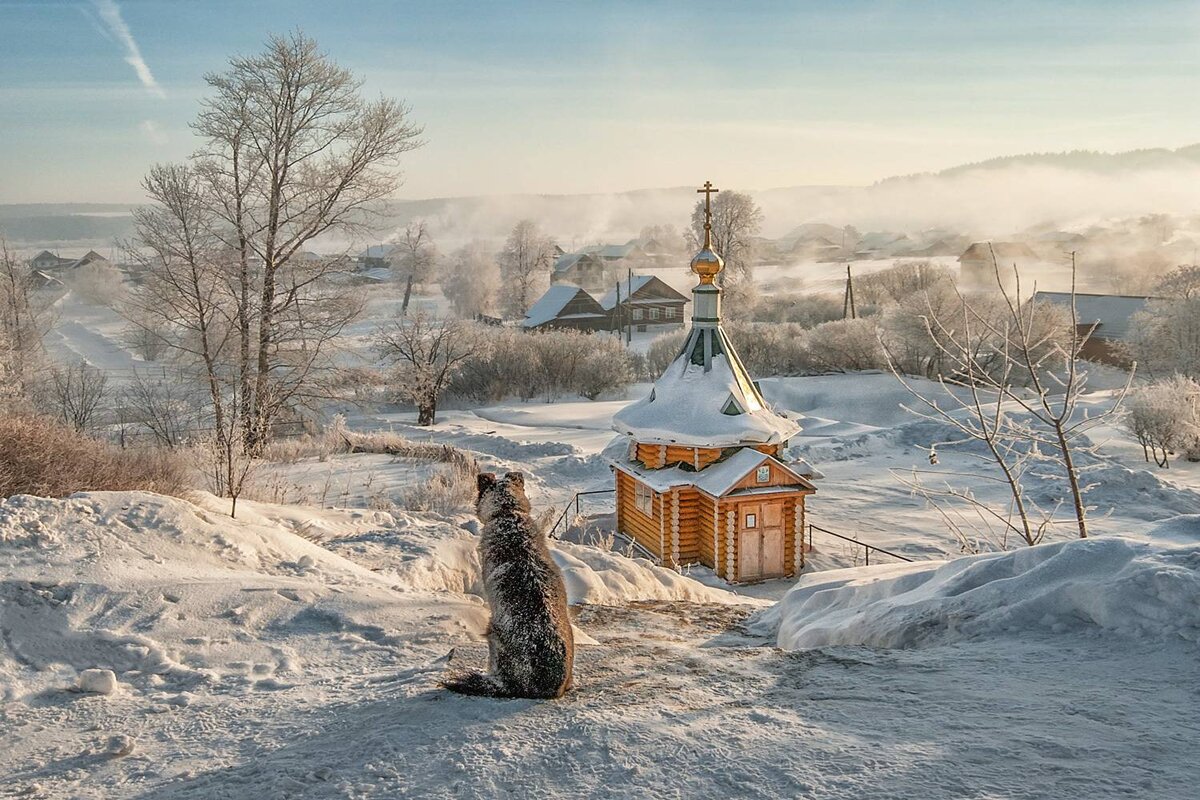 Небо. Самолёт. Деревня | Дневник отчаянных пенсионеров | Дзен