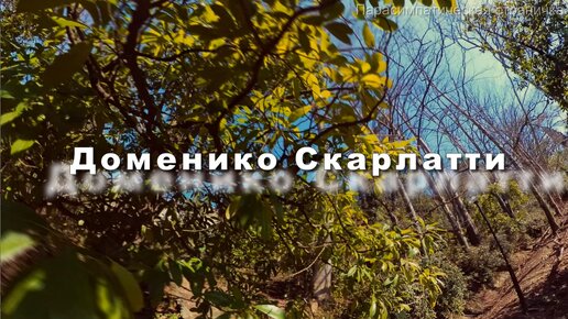 Доменико Скарлатти. Соната для фортепиано K27, си минор. Музыка для души