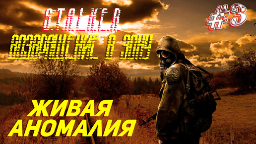 ЖИВАЯ АНОМАЛИЯ ➤ S.T.A.L.K.E.R. Возвращение в Зону Прохождение #3