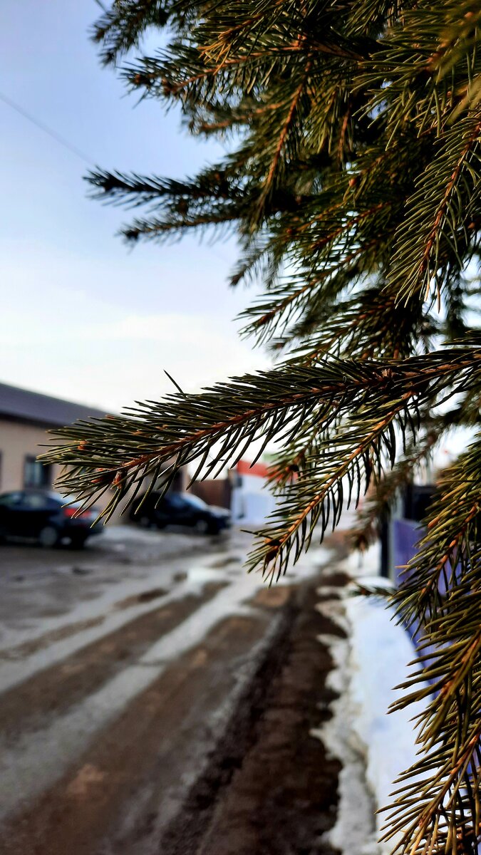 Фото со вчерашней прогулки с работы до дома 