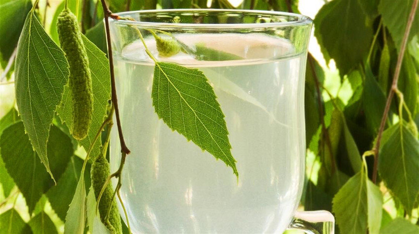 (из открытого источника)