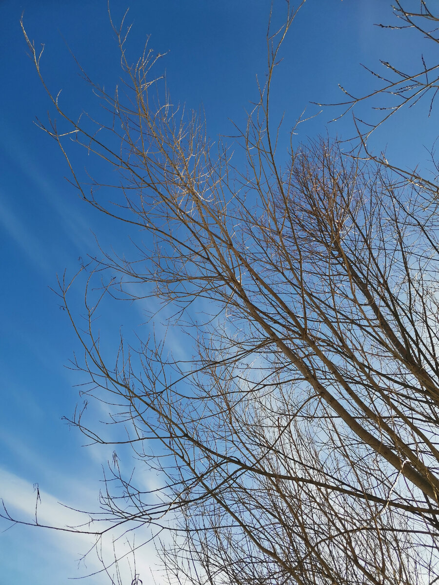 Фото автора канала "Счастье есть" 