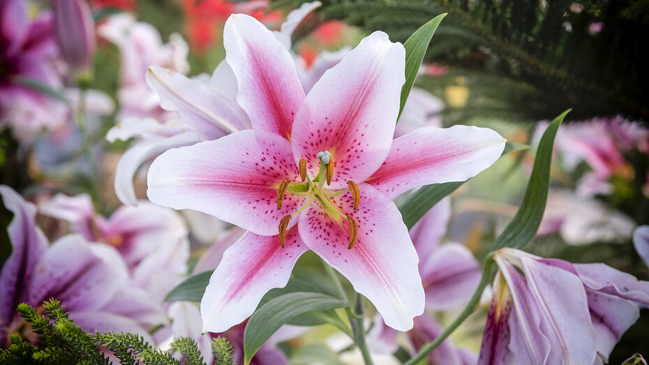     Источник фото: freepik.com (@waewkidja)