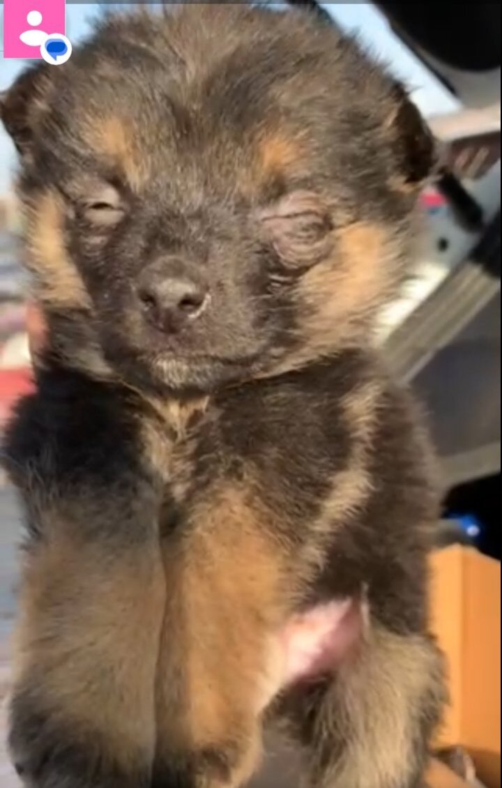 Один из спасëнышей