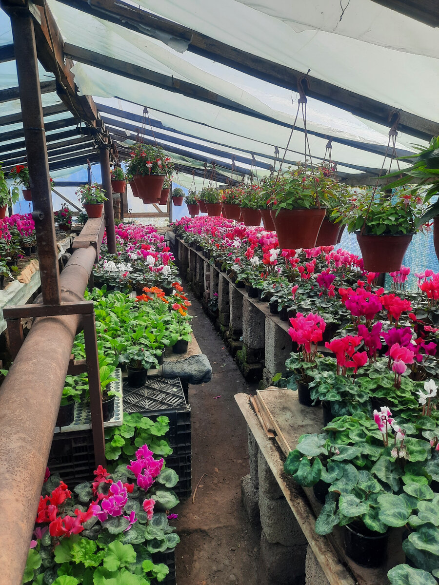 Вот такая красота.