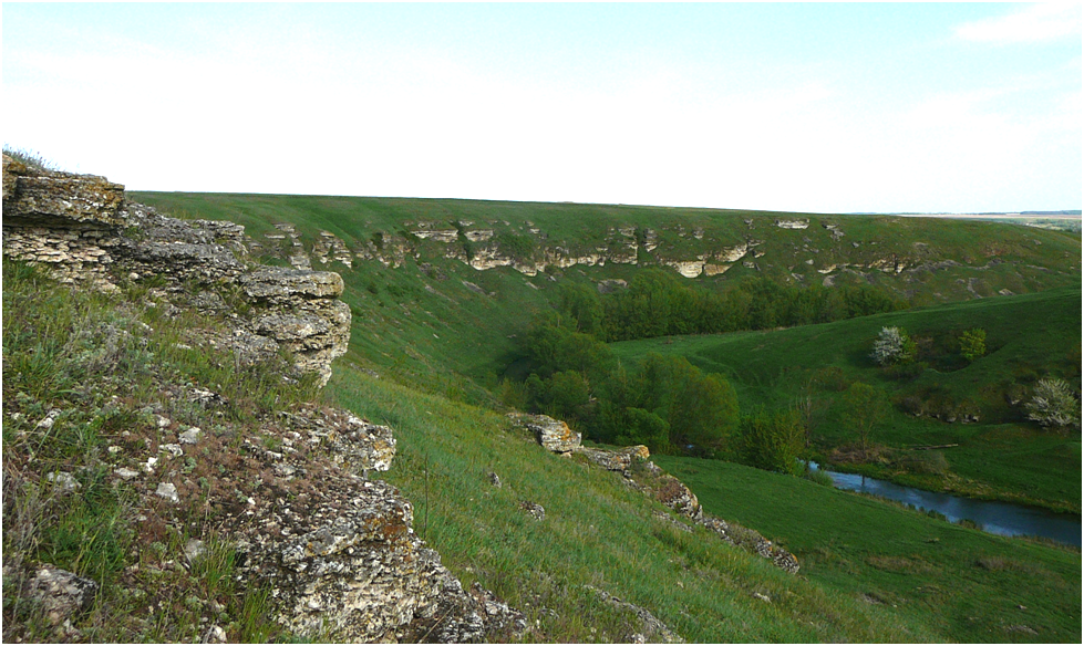 Снимок 2. Фото автора