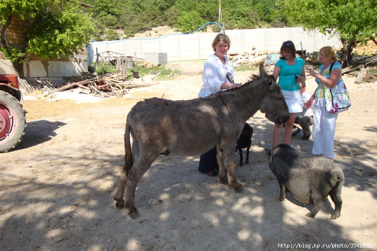 Крым, всё тот же 2009-й.
