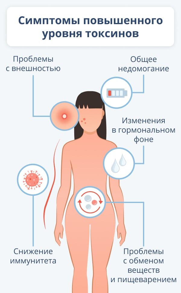 Воздействие токсинов на организм. Как очищается организм у женщины. Факторы ухудшающие иммунитет.