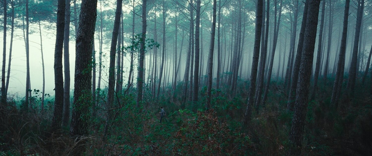 Кадры из фильма "Королевство зверей" (реж. Тома Кайе, 2023 г.)