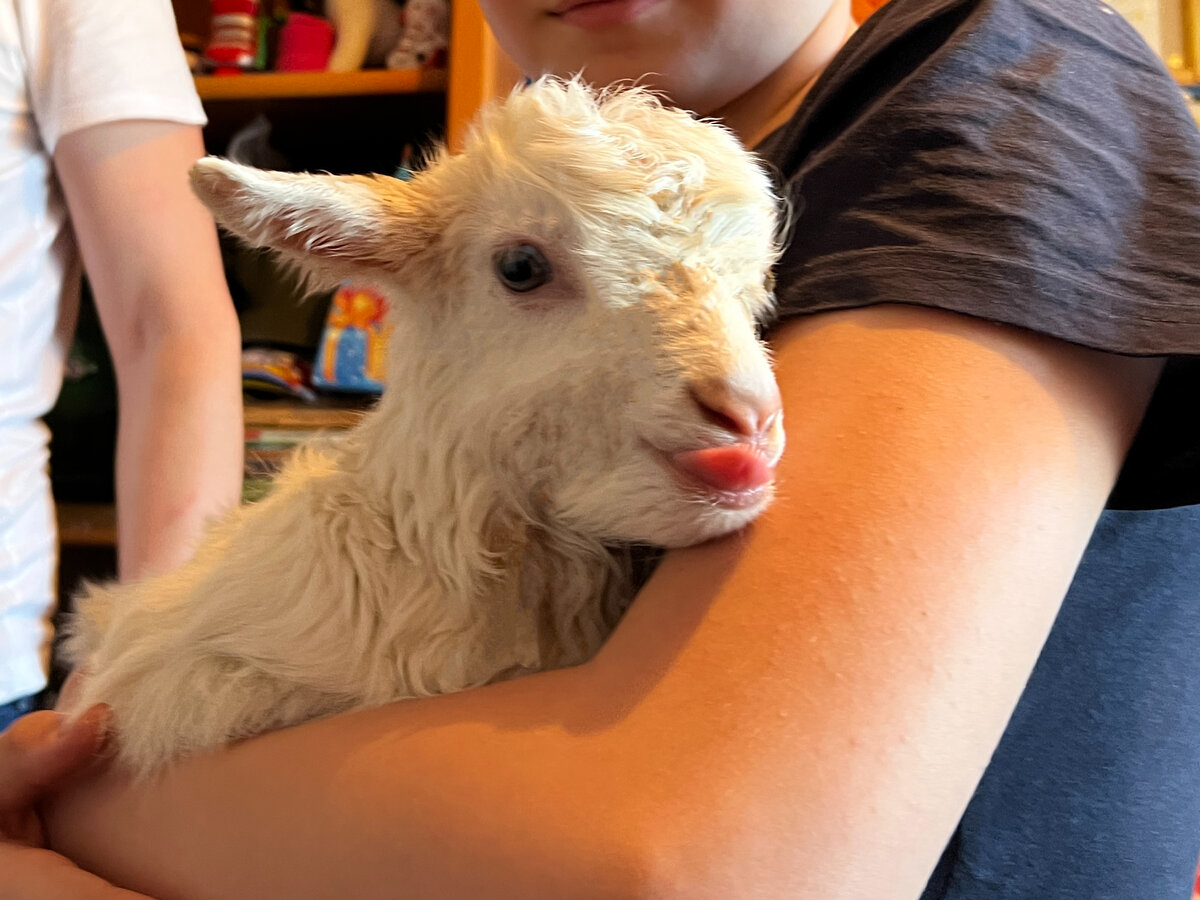 таня продолжение