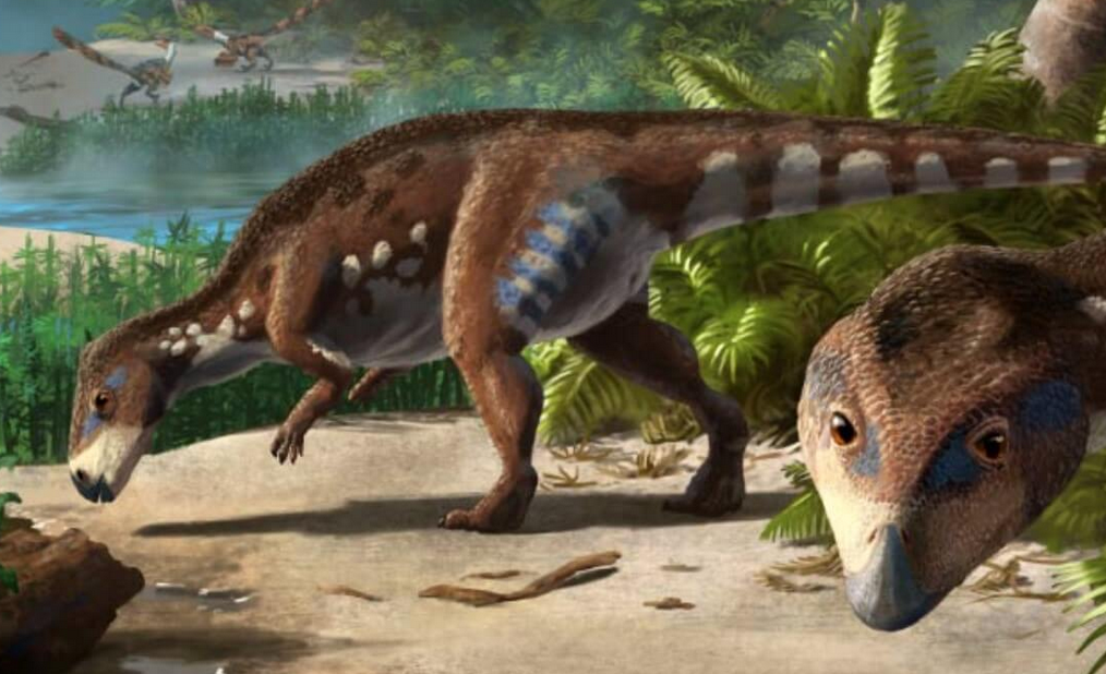 Источник: https://hi-news.ru