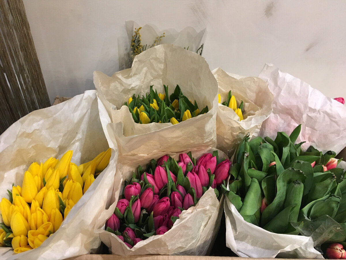 Тюльпаны купить в новосибирске недорого
