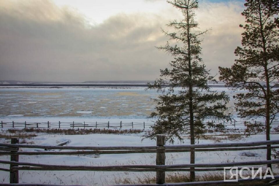    Фото: Мария Васильева/ЯСИА ЯСИА