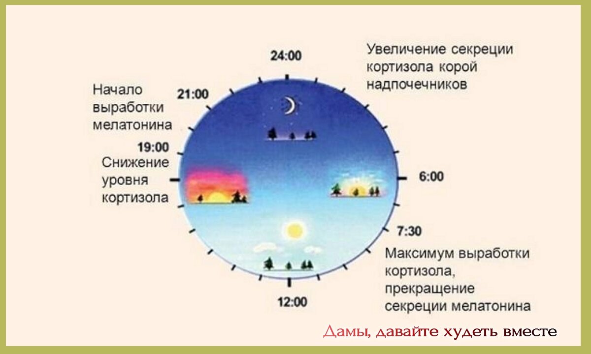 Сутки после 2 х