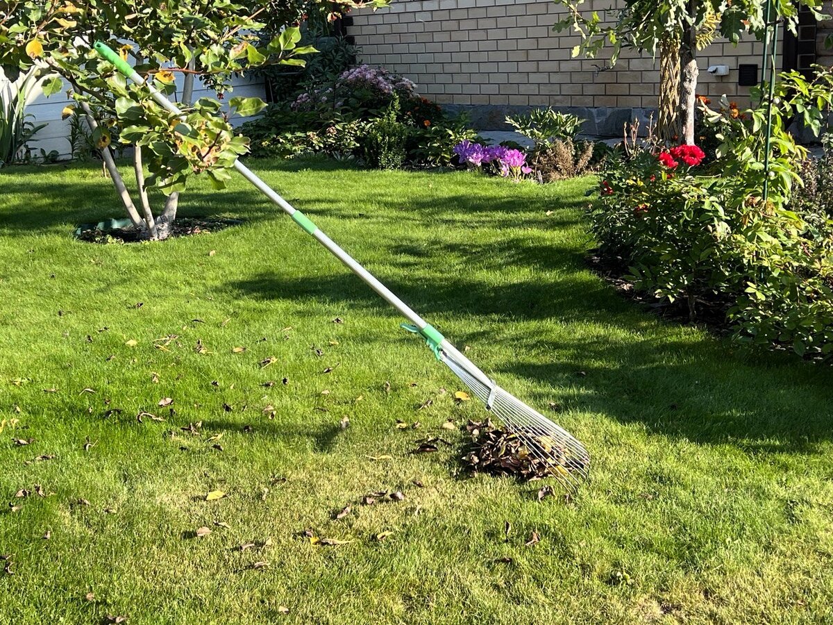 Это НЕ вычесывание