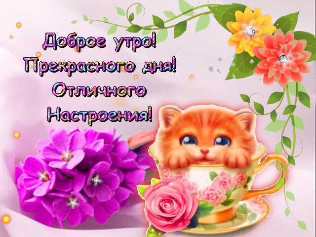 Поздравления на каждый день в картинках. Добрые открытки родным. Доброе утро берегите сн бя. Добрые открытки родным. Добрые открытки родным.