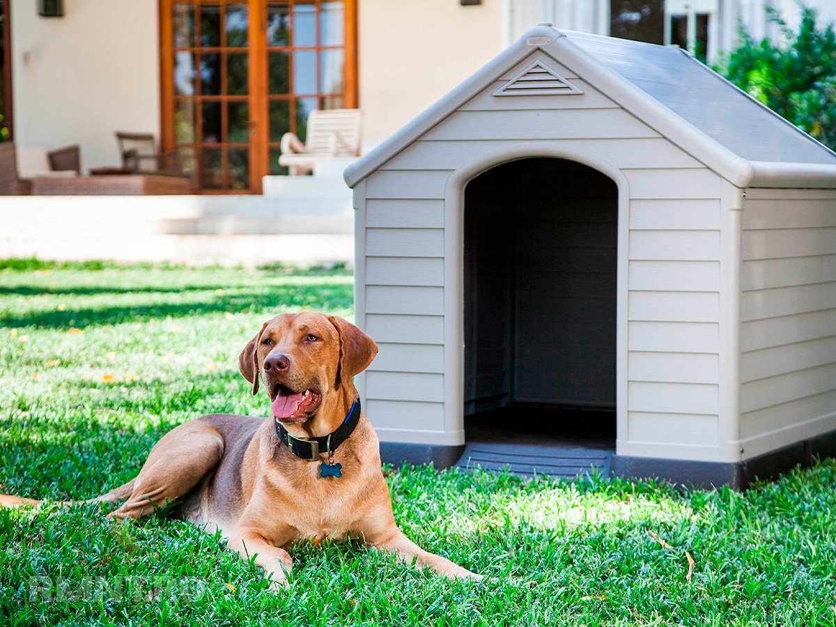 Коды ошибок bios. Программируемое реле своими руками. Коды ошибок bios. Системный таймер на материнской плате что это. Ошибка таймера.