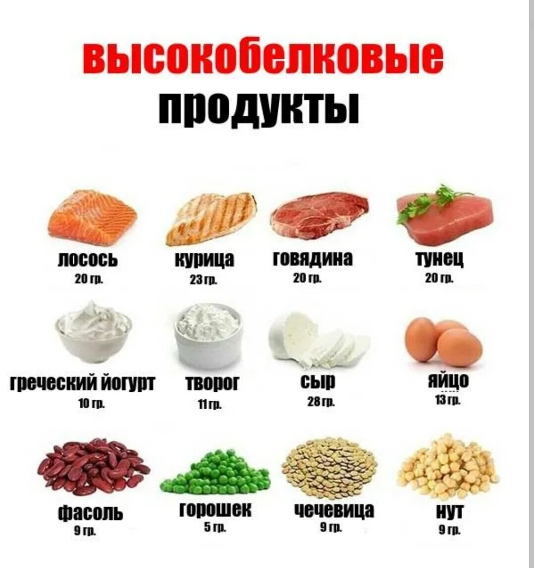 Белок во время поста в каких. Продукты с высоким содержанием белка. Список продуктов содержащих белок. В каких продуктах содержится белок. Белок продукты с высоким содержанием белка.