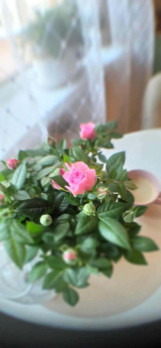 Просто для наслаждения! Улыбайтесь -это важно)))