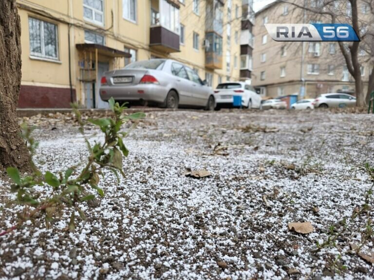    Неделя дождя и снега. Март в Оренбуржье заканчивается сплошным ненастьем Белов Михаил Александрович