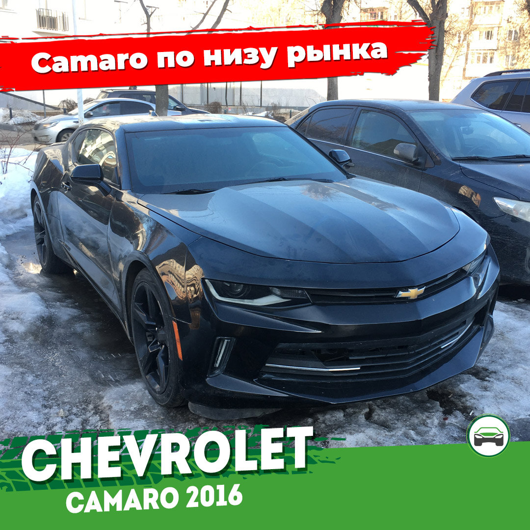 Chevrolet Camaro по низу рынка из Америки. Что ожидать? | АВТОПОДБОР  КУПИТАЧКУ | Дзен