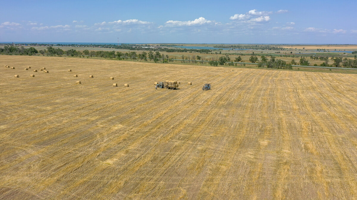 Vostok.Today, В этом году в республике посевные площади рапса и льна увеличивают в 20 раз – до 3,2 тысяч гектаров.
