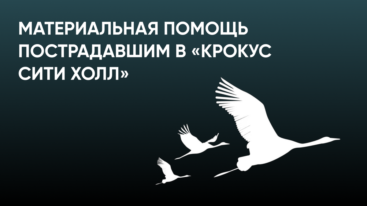Материальная помощь пострадавшим в «Крокус Сити Холл» — СПРОСИ.ДОМ.РФ