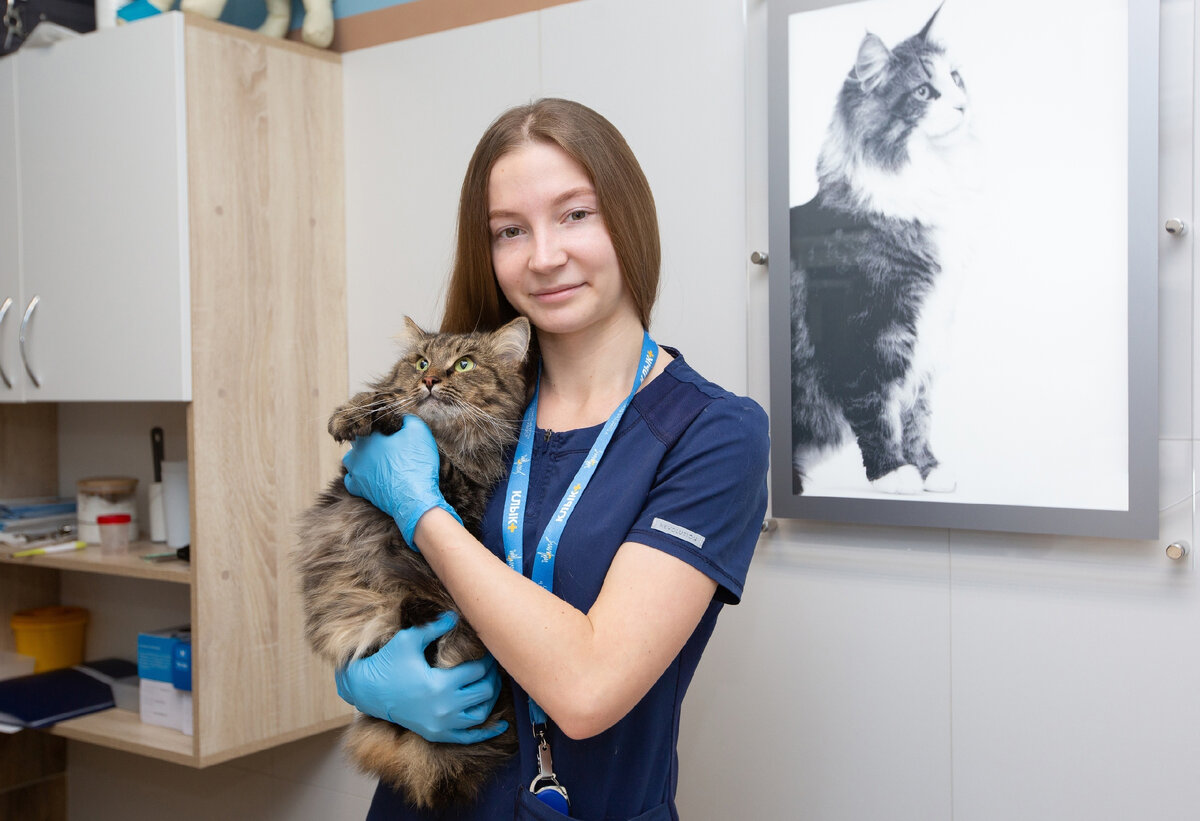 автор статьи Носова Полина Сергеевна, врач-ординатор