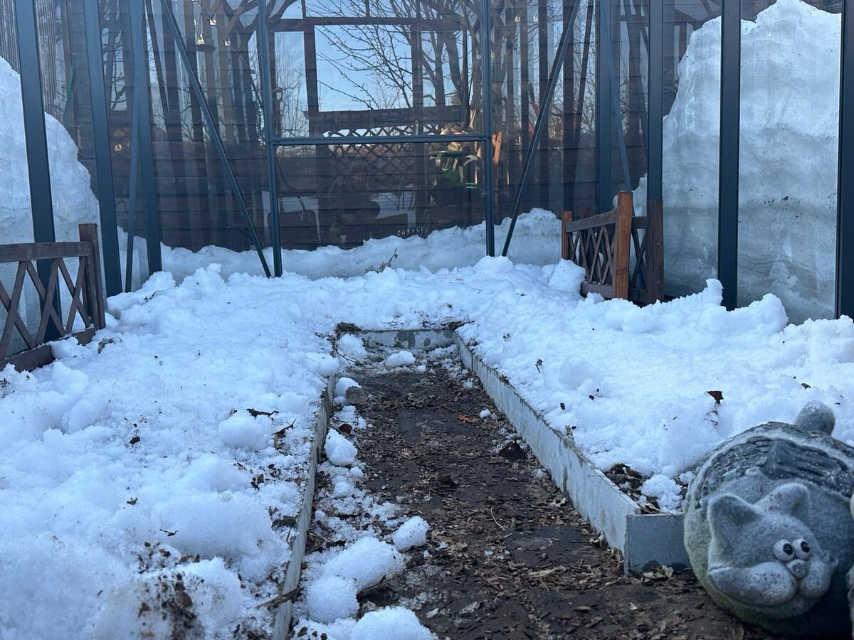 Это уже почти растаявший снег. Для того, чтобы влаги было достаточно, высота снежного покрова на грядках должна быть не меньше 50и см. 