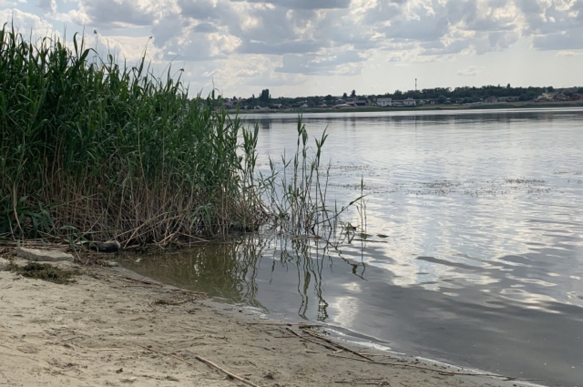    В Меленковском районе провели экологический мониторинг водных объектов