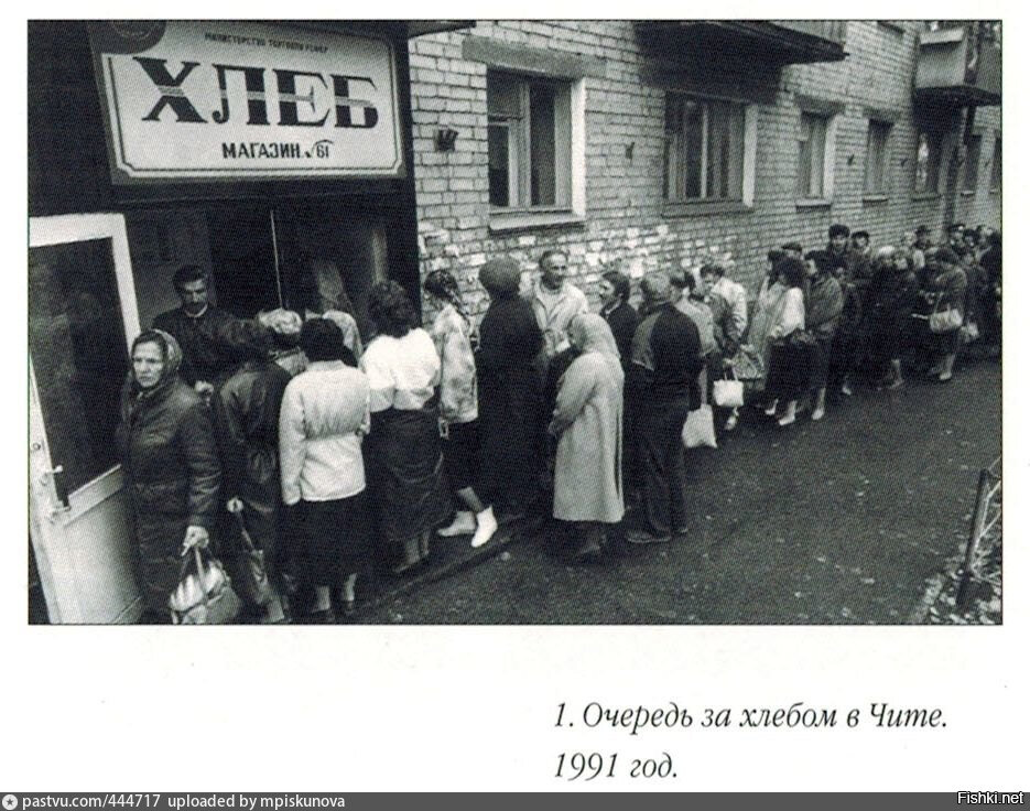 Домашние питомцы. На что, в первую очередь, обратить внимание при выборе кошки или собаки