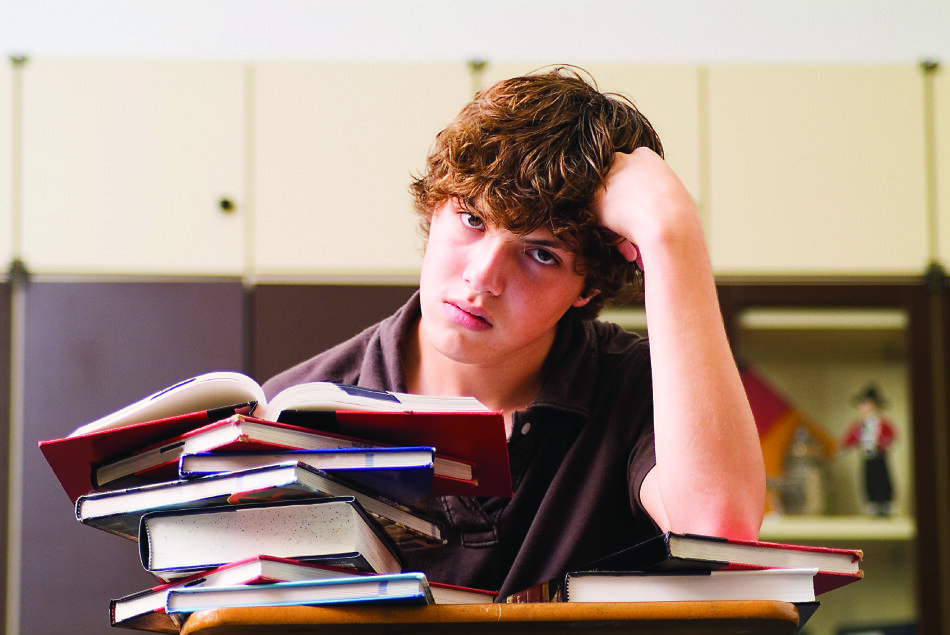 фото из открытого источника ДЗЕН