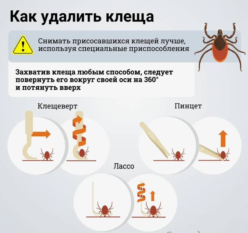 Клеща выкручивать против или по часовой стрелке. КПК кбрать клещп.