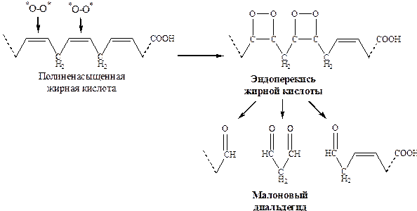 Окисление ПНЖК под действием кислорода. Изображение взято из интернета