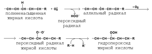 Окисление ПНЖК. Изображение взято из интернета